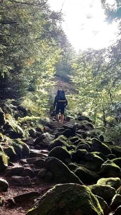 WhatsApp Image 2024-09-22 at 19.49.42 (18).jpeg