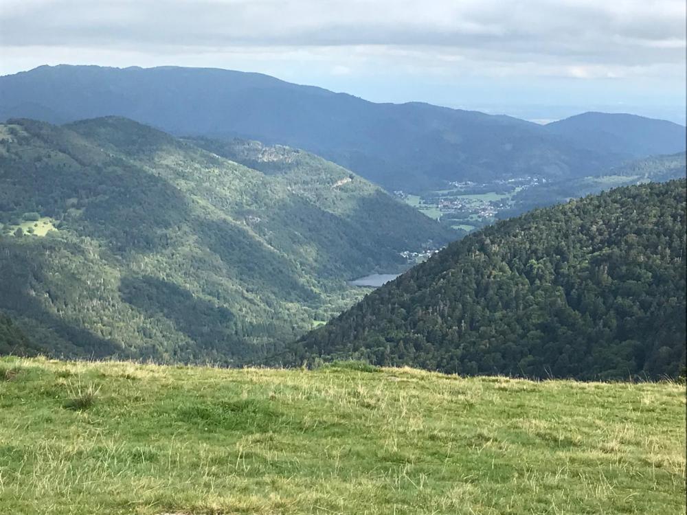 WhatsApp Image 2024-09-22 at 19.49.42 (6).jpeg