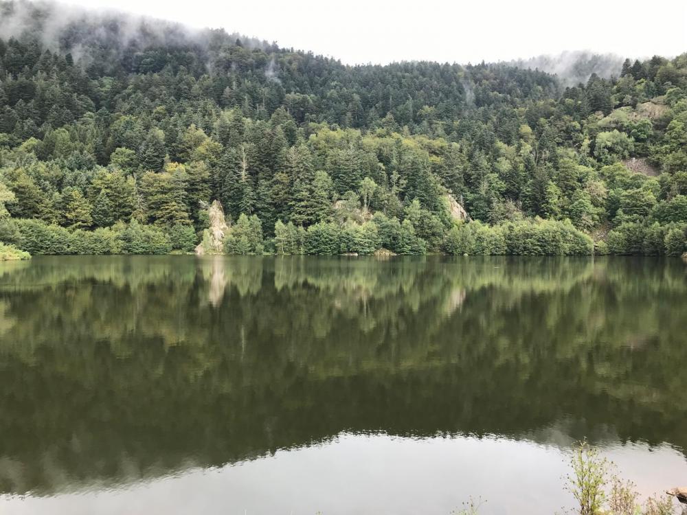 WhatsApp Image 2024-09-22 at 19.49.42 (9).jpeg