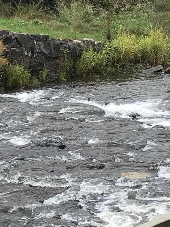 WhatsApp Image 2024-09-22 at 19.49.39.jpeg