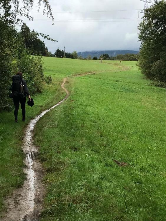 WhatsApp Image 2024-09-22 at 19.49.41.jpeg