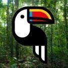 Toucan