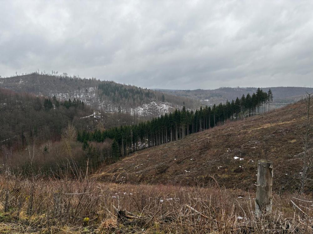 WhatsApp Image 2026-01-22 at 09.43.52 (4).jpeg