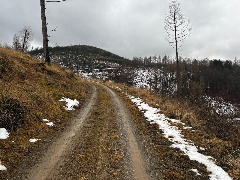 WhatsApp Image 2026-01-22 at 09.43.52 (5).jpeg