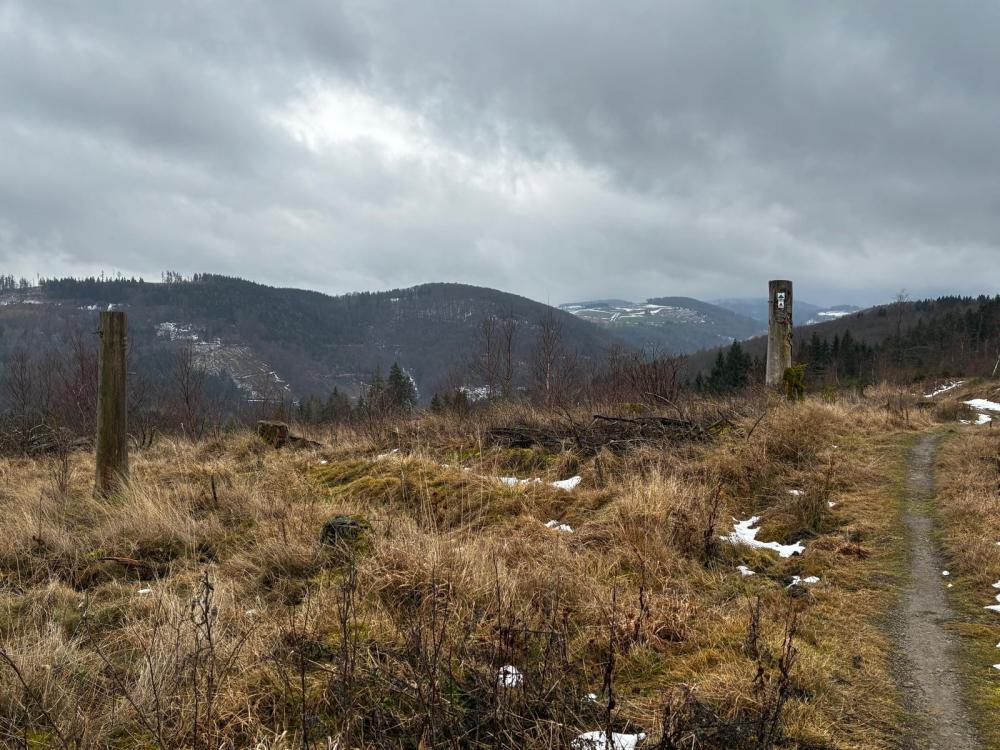 WhatsApp Image 2026-01-22 at 09.43.52 (6).jpeg