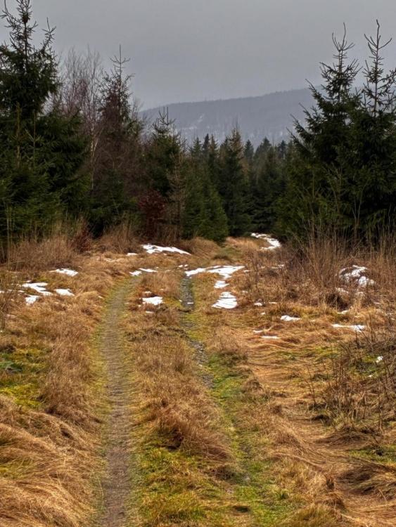 WhatsApp Image 2026-01-22 at 09.43.53 (1).jpeg