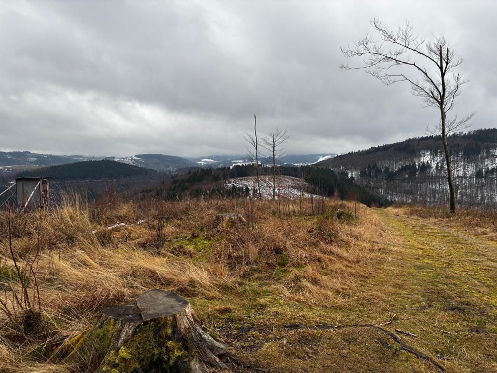 WhatsApp Image 2026-01-22 at 09.43.53 (2).jpeg