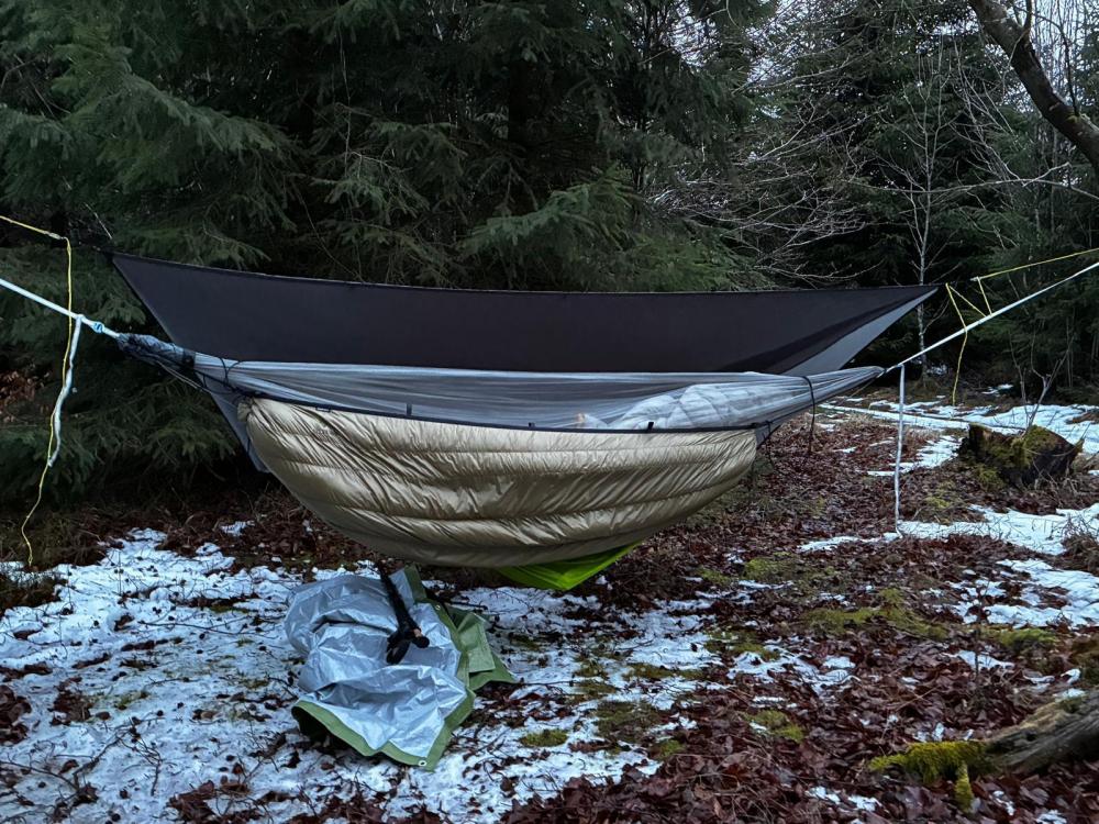 WhatsApp Image 2026-01-22 at 09.43.53 (7).jpeg