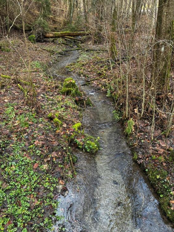 WhatsApp Image 2026-01-22 at 09.43.46.jpeg