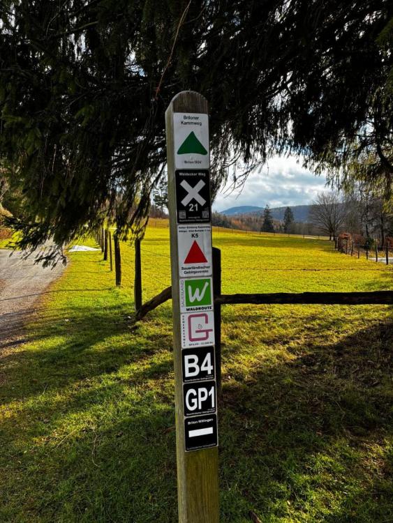 WhatsApp Image 2026-01-22 at 09.43.47.jpeg