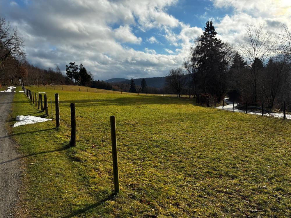 WhatsApp Image 2026-01-22 at 09.43.49.jpeg