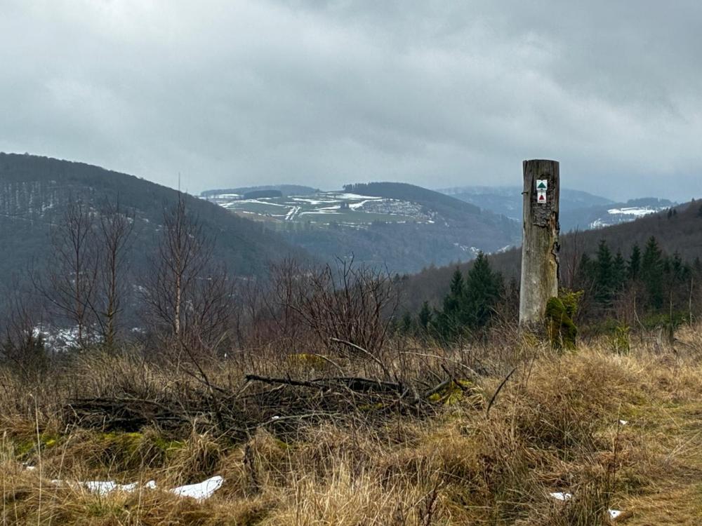 WhatsApp Image 2026-01-22 at 09.43.53.jpeg