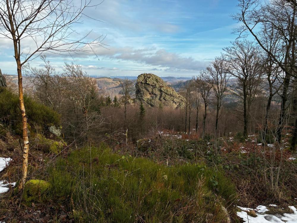 WhatsApp Image 2026-01-22 at 09.44.04 (1).jpeg