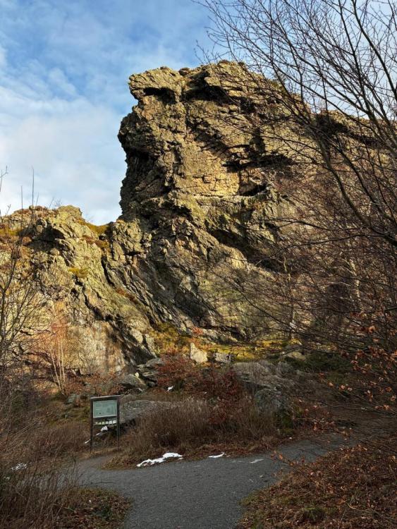 WhatsApp Image 2026-01-22 at 09.44.05 (1).jpeg