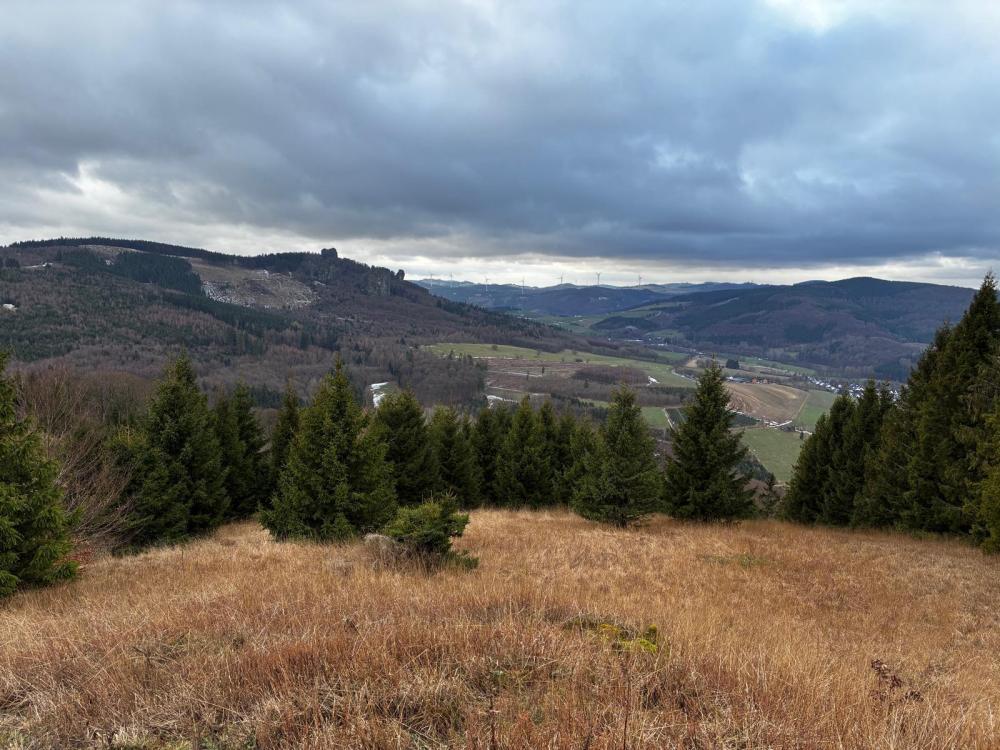 WhatsApp Image 2026-01-22 at 09.44.05 (4).jpeg